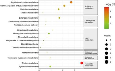 Characteristics of the gut microbiome and metabolic profile in elderly patients with sarcopenia